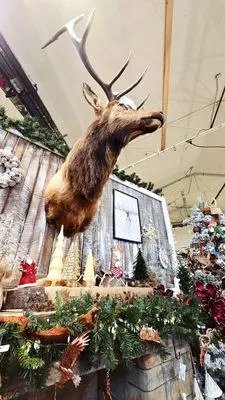 Caras Nursery & Landscape