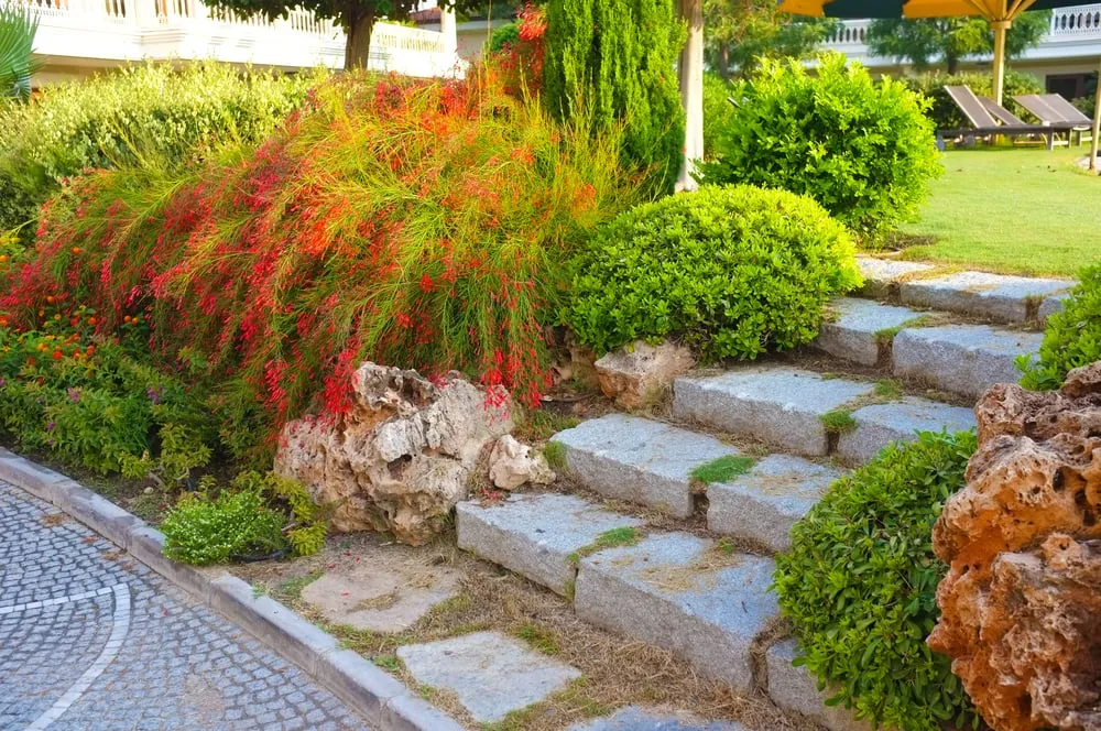 Local landscaping services experts serving West Long Branch, NJ - Carasia Landscaping