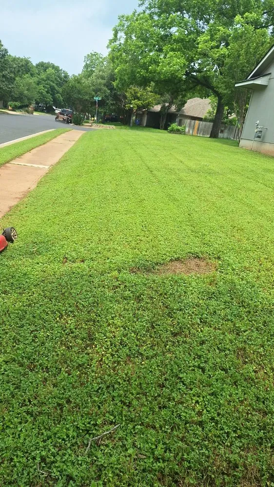 Custom lawn mowing service for outdoor upgrades across Manor, TX - Caraveo Landscaping