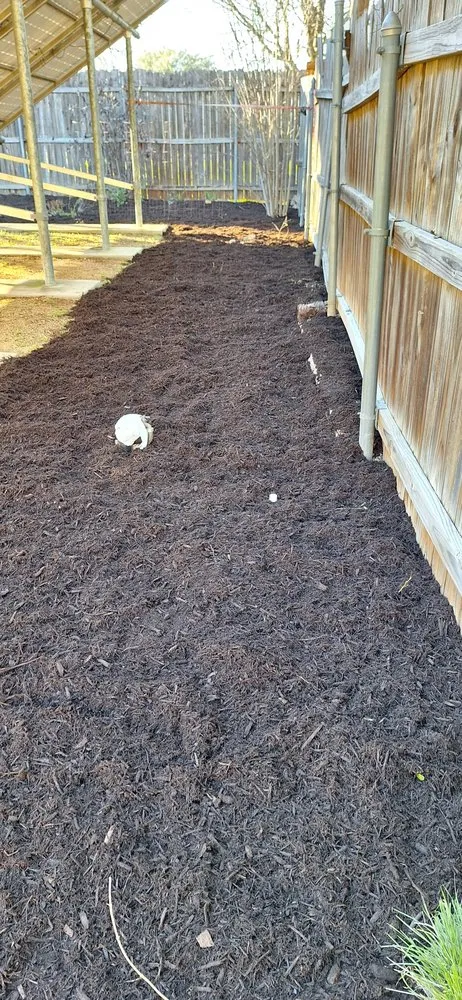 Top-rated landscape installation for outdoor upgrades in Manor, TX by Caraveo Landscaping