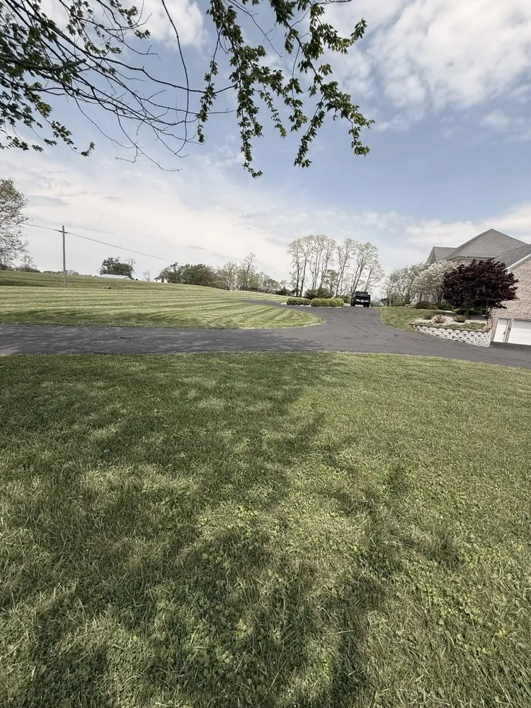 Expert landscaping services experts serving Lexington, KY - Carbajal’s Landscaping