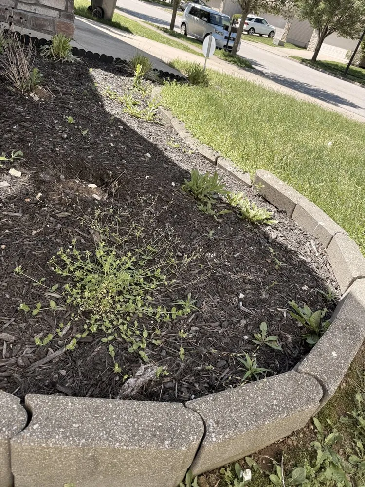 Local residential landscaping for residential properties in Lexington, KY by Carbajal’s Landscaping