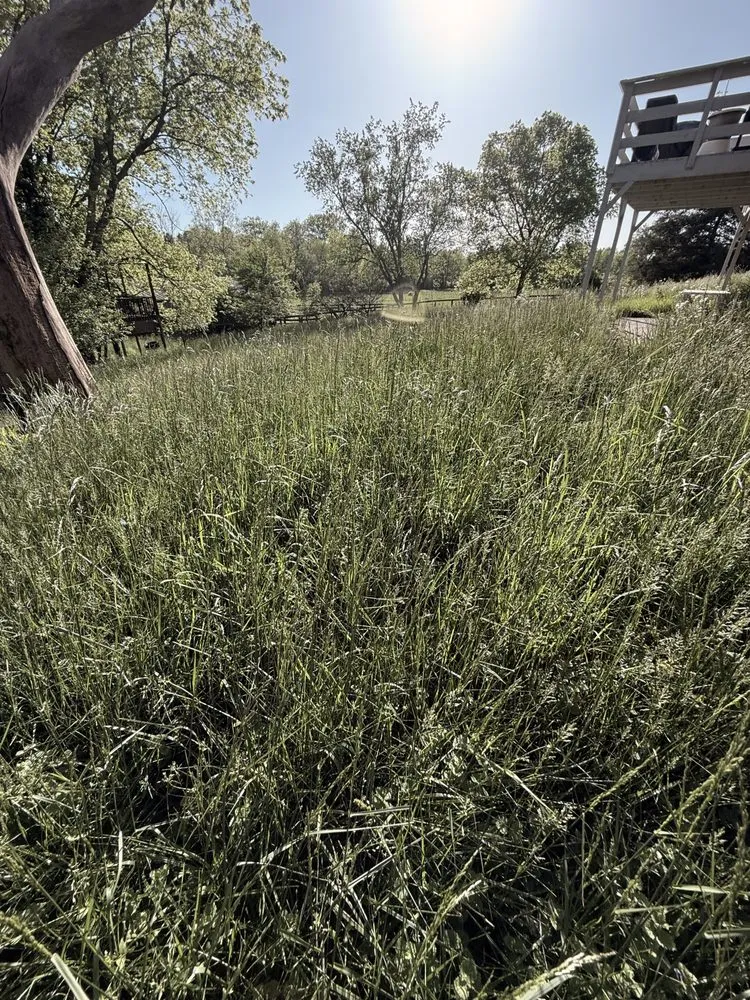 Professional lawn mowing service experts serving Lexington, KY - Carbajal’s Landscaping