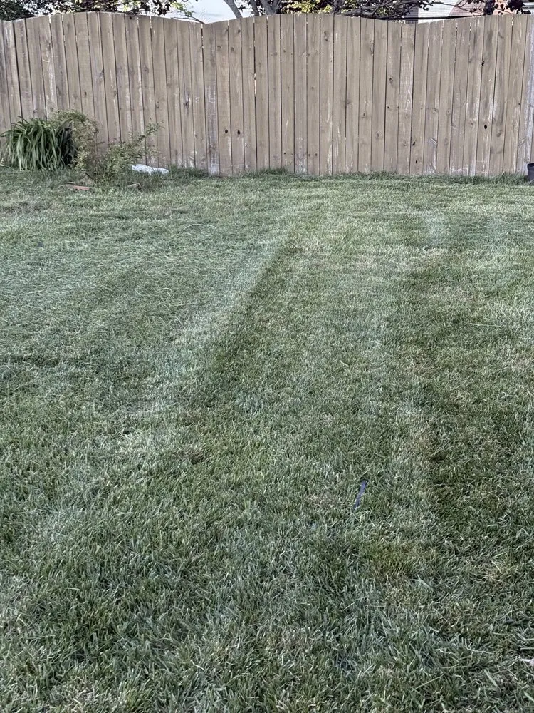 Top-rated yard maintenance near you across Lexington, KY - Carbajal’s Landscaping