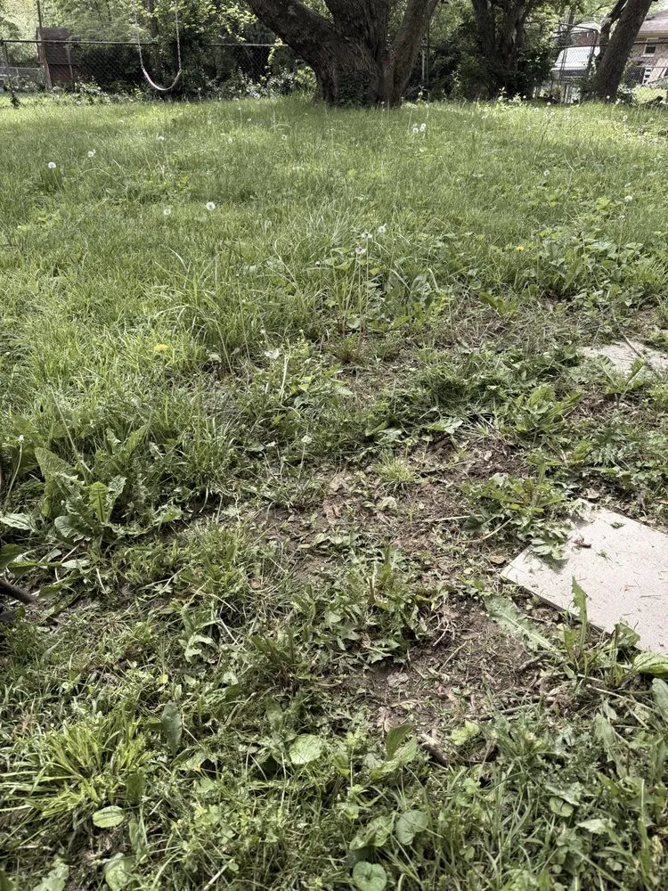 Custom landscape installation in Lexington, KY by Carbajal’s Landscaping