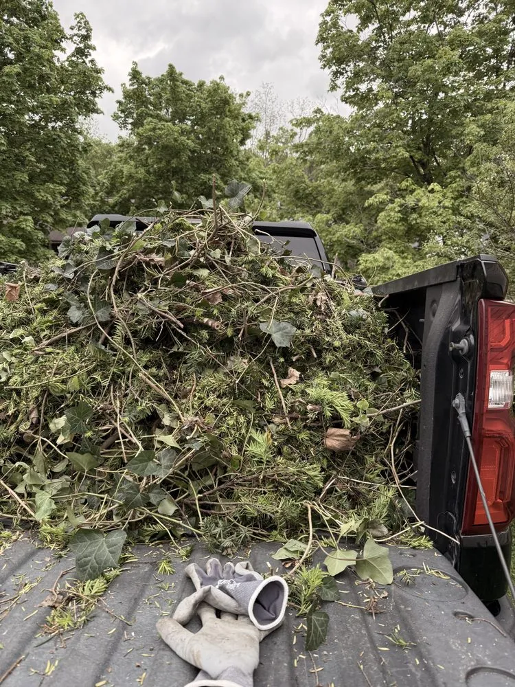 Top-rated residential landscaping in Lexington, KY by Carbajal’s Landscaping