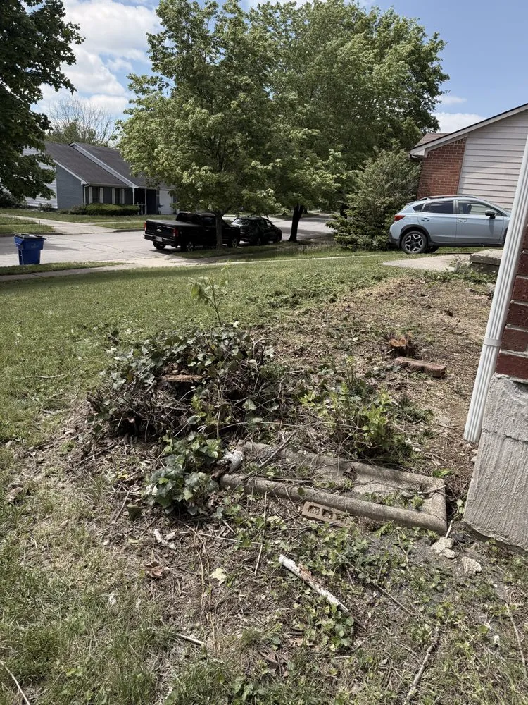 Professional garden landscaping near you in Lexington, KY by Carbajal’s Landscaping