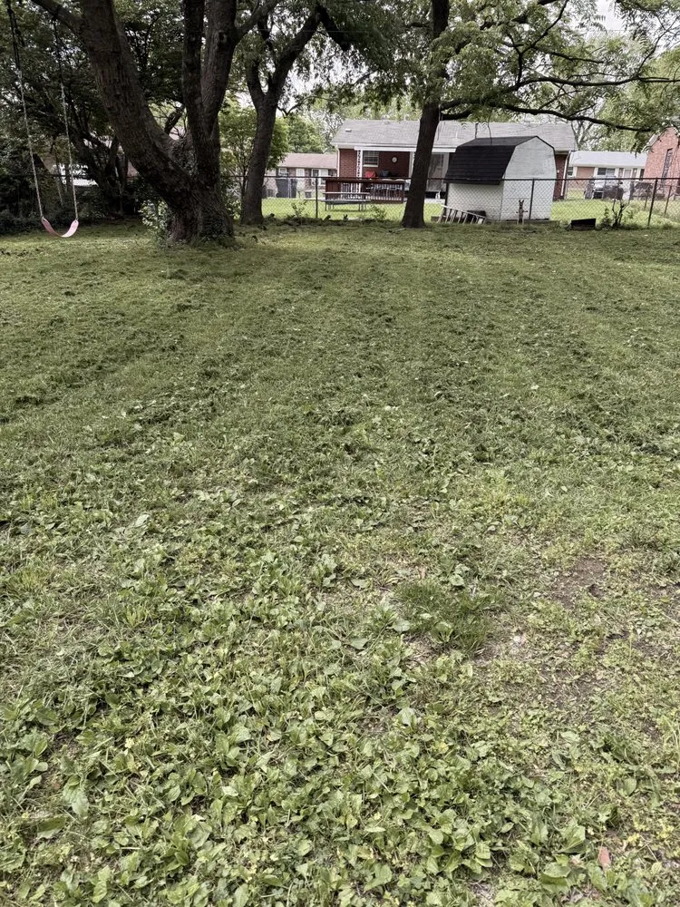 Custom landscape design in Lexington, KY by Carbajal’s Landscaping