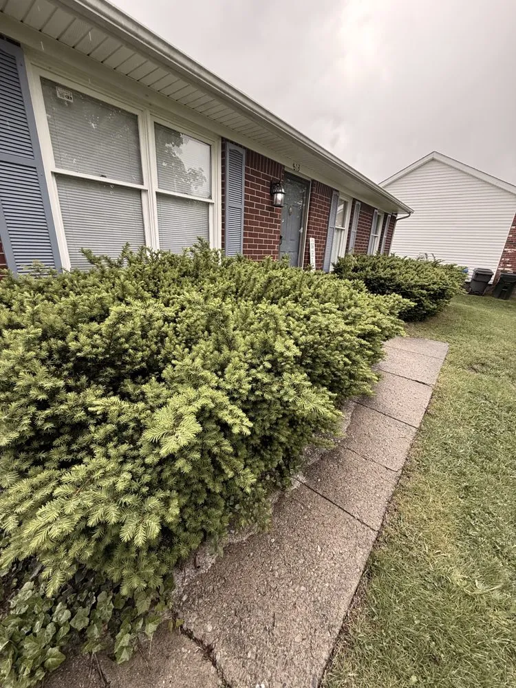 Local landscape design in Lexington, KY - Carbajal’s Landscaping