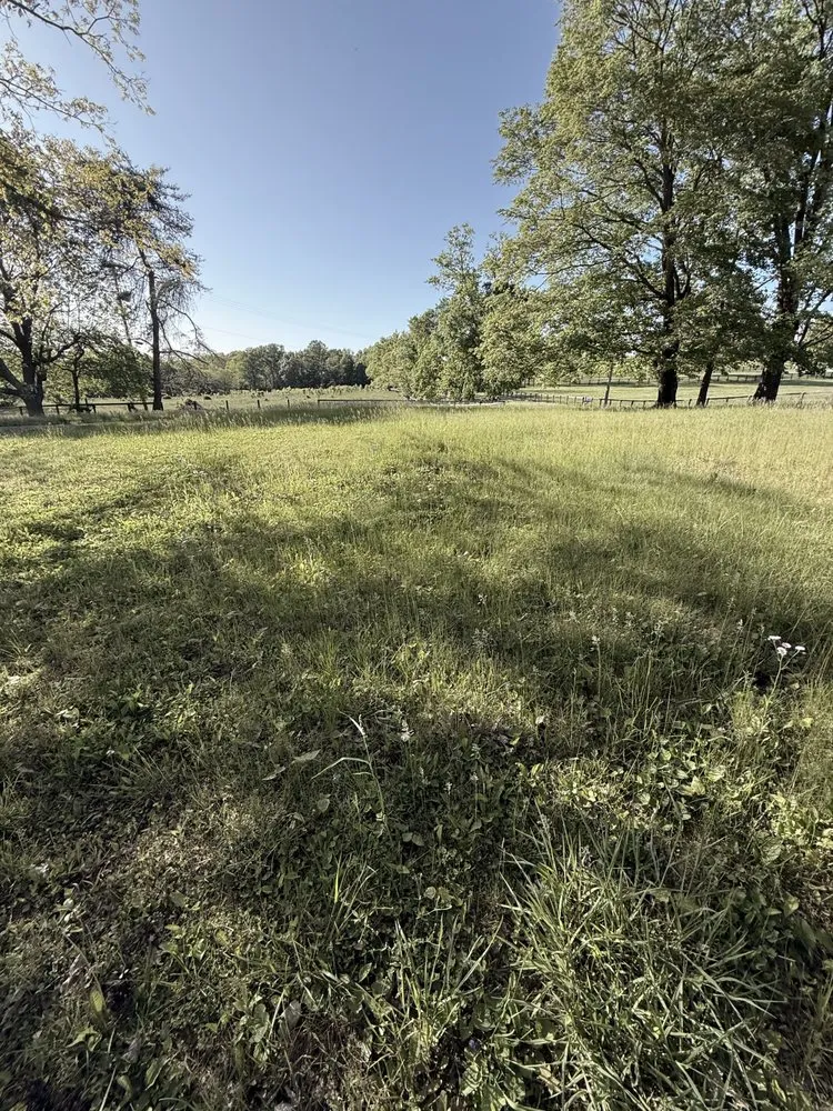 Expert yard maintenance for homes across Lexington, KY - Carbajal’s Landscaping