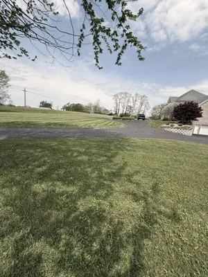 Carbajal’s Landscaping Logo