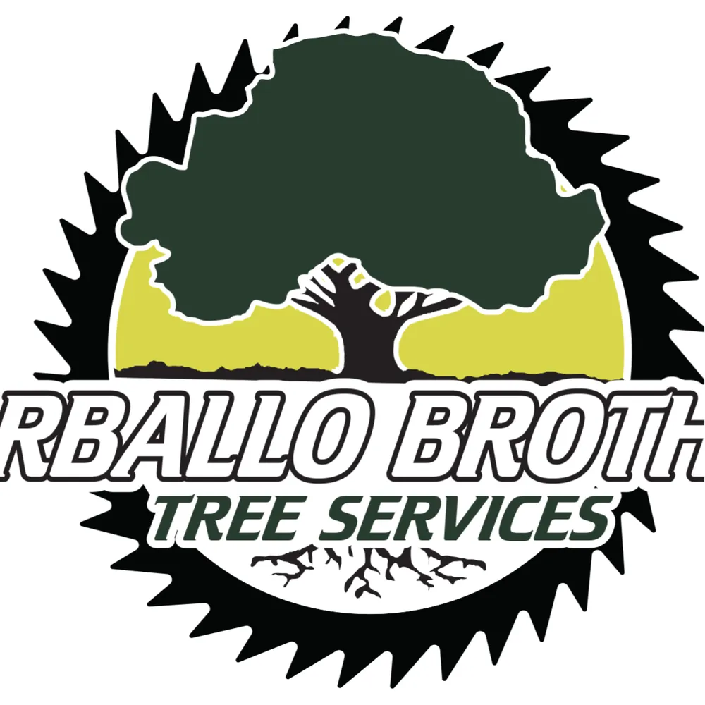 Top-rated outdoor landscaping in Windsor Mill, MD - Carballo Brothers Tree Service and Landscaping