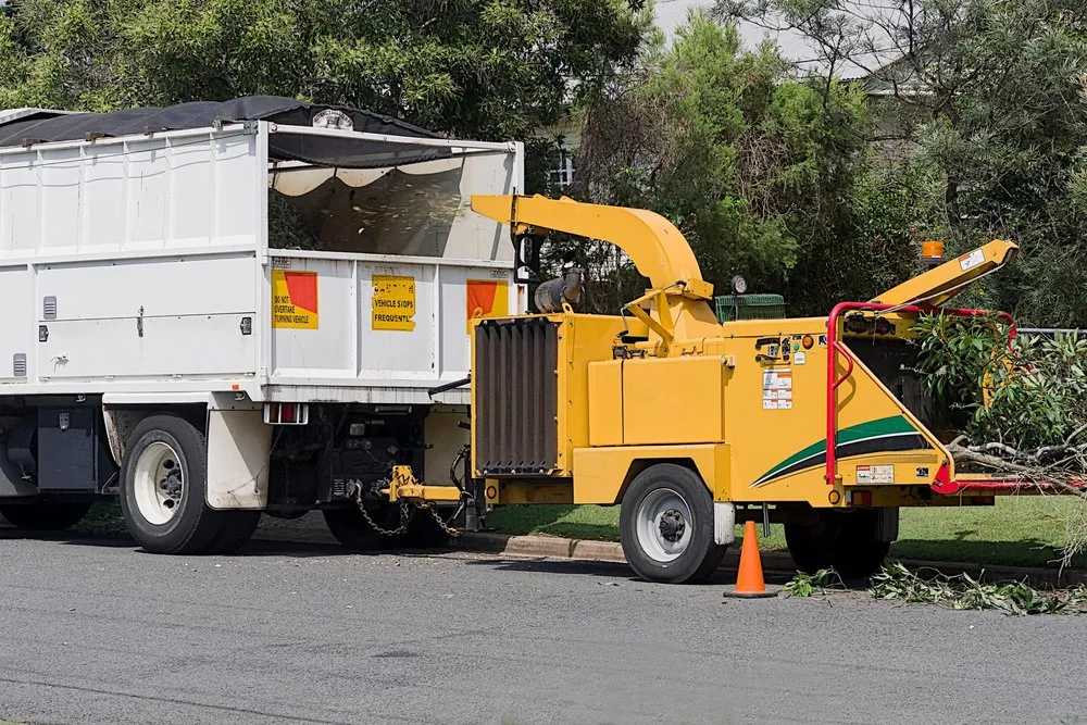 Trusted yard cleanup service for year-round maintenance in Windsor Mill, MD by Carballo Brothers Tree Service and Landscaping