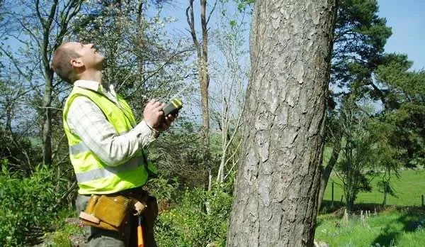 Reliable outdoor landscaping in Windsor Mill, MD by Carballo Brothers Tree Service and Landscaping