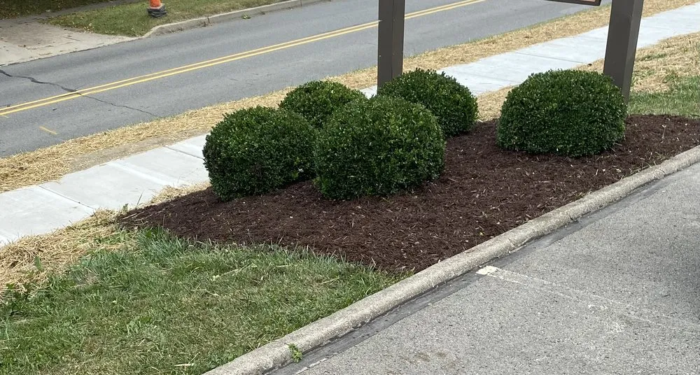 Expert outdoor landscaping experts serving Shippenville, PA - Carbaugh’s Lawn Care