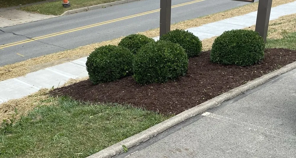Local lawn care service in Shippenville, PA - Carbaugh’s Lawn Care