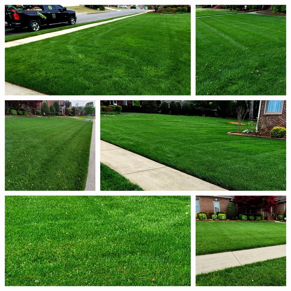 Reliable outdoor landscaping experts serving Harvest, AL - Carbon-2-Turf
