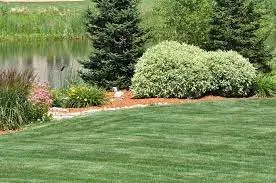 Local outdoor landscaping with custom design in Flower Mound, TX by Carbon Cutters Landscaping