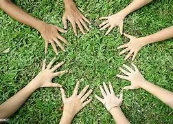 Top-rated outdoor landscaping in Steamboat Springs, CO by Carbon-Free Cutters