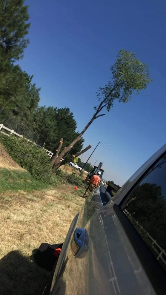 Professional outdoor landscaping for outdoor upgrades in Firestone, CO by Carbon Valley Tree Care