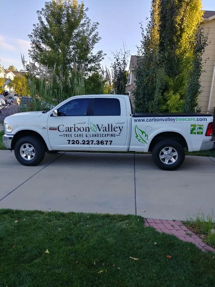 Top-rated residential landscaping near you in Firestone, CO by Carbon Valley Tree Care