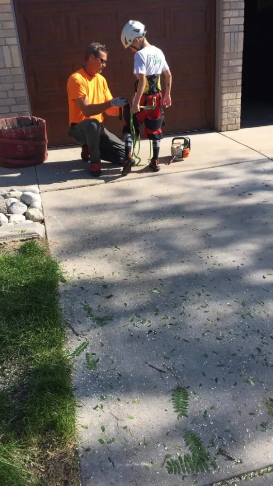 Professional outdoor landscaping for year-round maintenance in Firestone, CO by Carbon Valley Tree Care