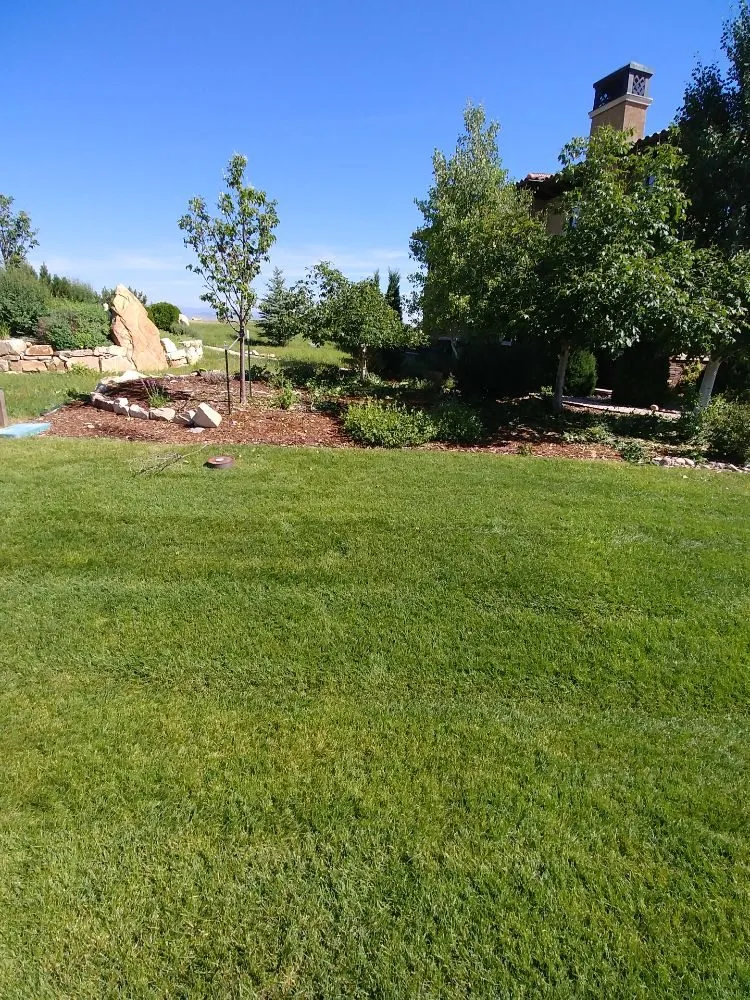 Trusted lawn care service experts serving Firestone, CO - Carbon Valley Tree Care