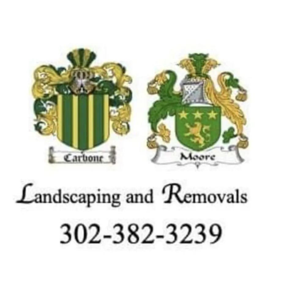 Custom lawn care service in Hartly, DE - Carbone And Moore's Landscaping And Removals
