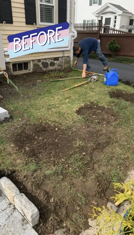 Trusted yard cleanup service experts serving Haverhill, MA - Carbone Industries