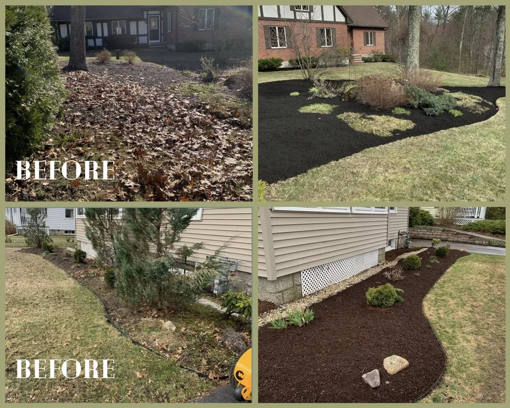 Local yard cleanup service near you across Haverhill, MA - Carbone Industries