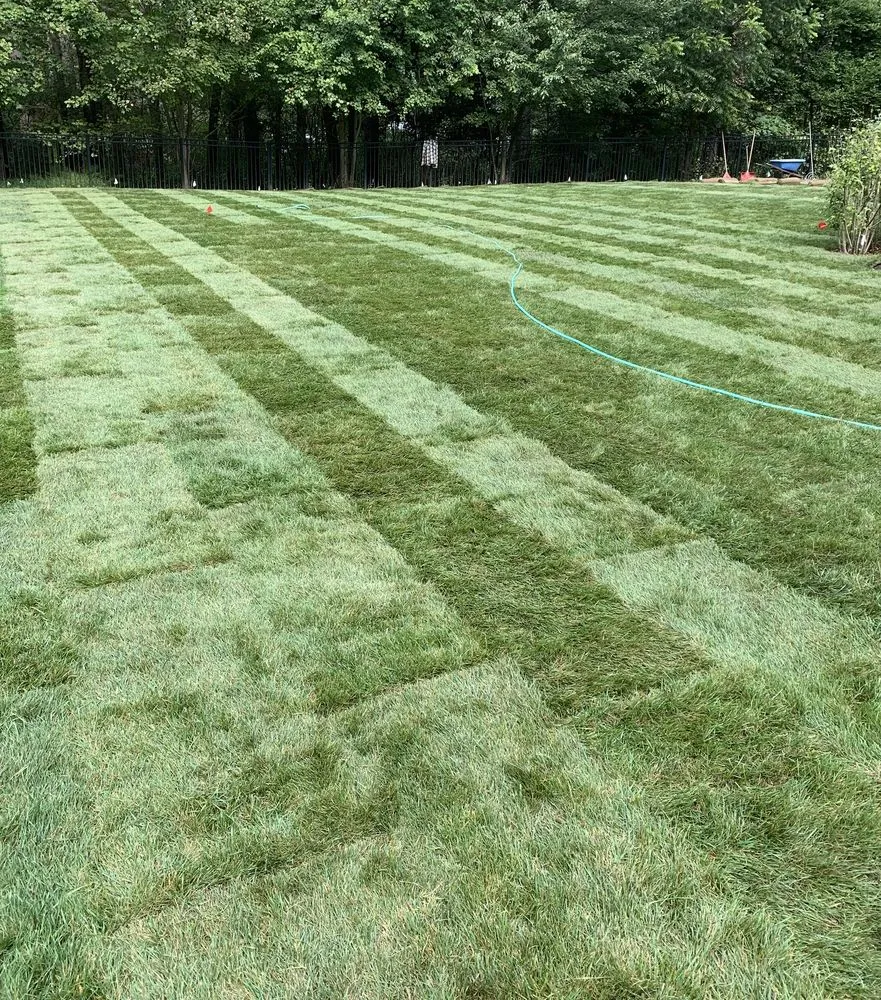 Affordable landscaping services in Haverhill, MA by Carbone Industries