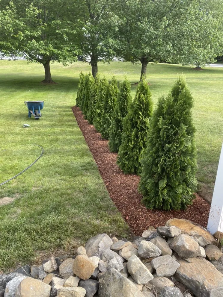 Affordable lawn care service experts serving Haverhill, MA - Carbone Industries