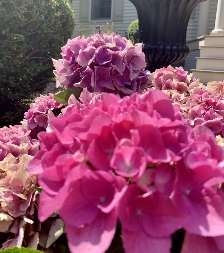 Trusted lawn mowing service experts serving Haverhill, MA - Carbone Industries