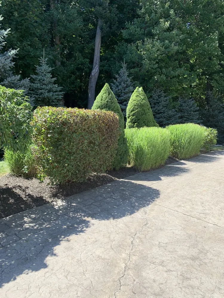 Local yard maintenance with custom design in Haverhill, MA by Carbone Industries