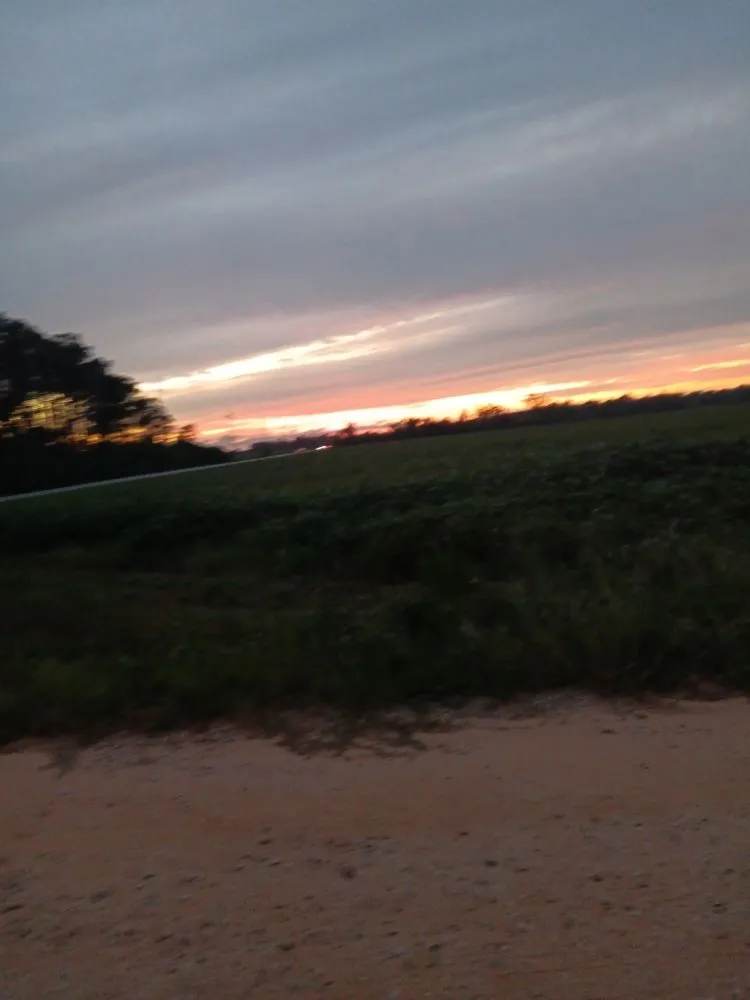 Affordable outdoor landscaping for residential properties across Loxley, AL - Carbos Cleaning And Maintenance