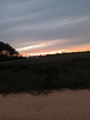 Carbos Cleaning And Maintenance Logo