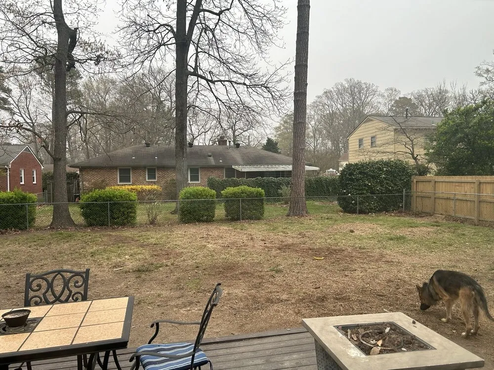 Trusted yard cleanup service in Woodbridge, VA - Carcamo Tree Service & Landscaping