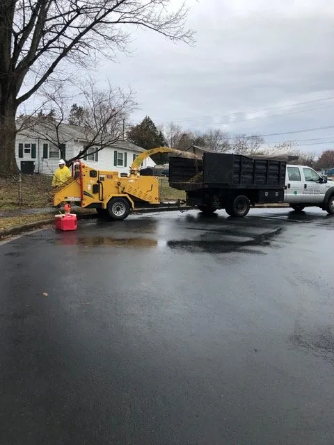 Custom landscape installation for residential properties across Woodbridge, VA - Carcamo Tree Service & Landscaping