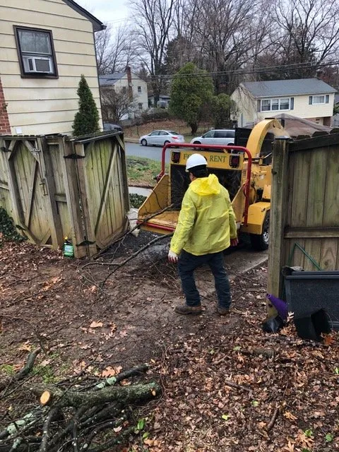 Affordable residential landscaping experts serving Woodbridge, VA - Carcamo Tree Service & Landscaping