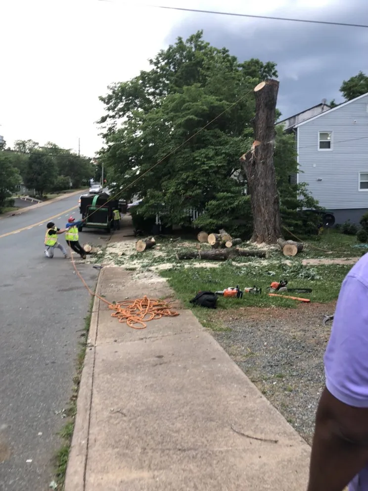 Top-rated garden landscaping with custom design across Woodbridge, VA - Carcamo Tree Service & Landscaping