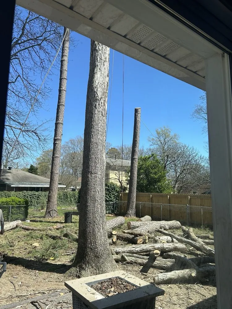 Custom landscape installation in Woodbridge, VA - Carcamo Tree Service & Landscaping