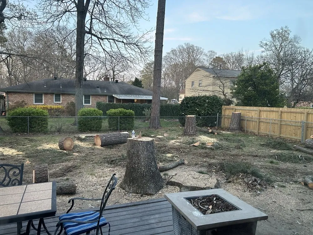 Reliable yard cleanup service in Woodbridge, VA by Carcamo Tree Service & Landscaping