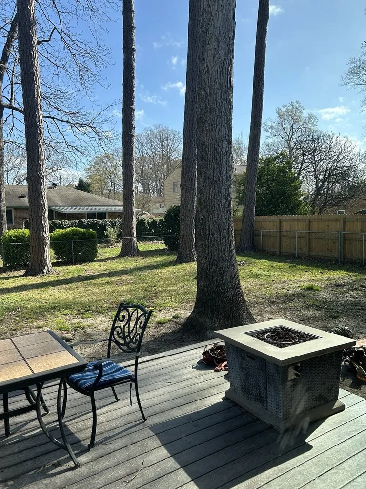 Affordable yard maintenance in Woodbridge, VA by Carcamo Tree Service & Landscaping