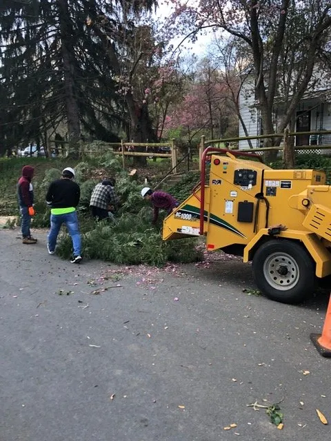 Affordable lawn mowing service in Woodbridge, VA - Carcamo Tree Service & Landscaping