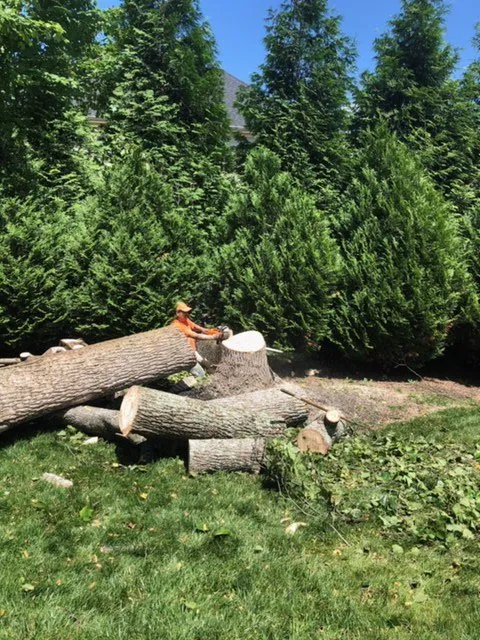 Reliable landscape design with custom design across Woodbridge, VA - Carcamo Tree Service & Landscaping