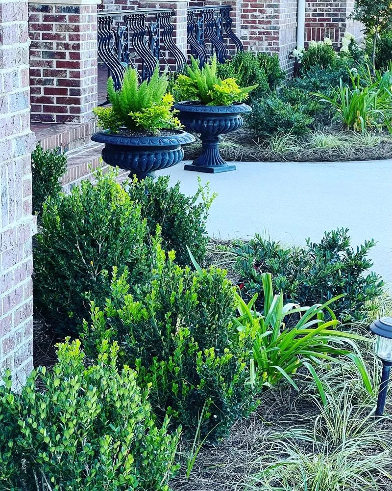 Top-rated yard maintenance experts serving Headland, AL - Carden & Company Landscaping and Garden Services