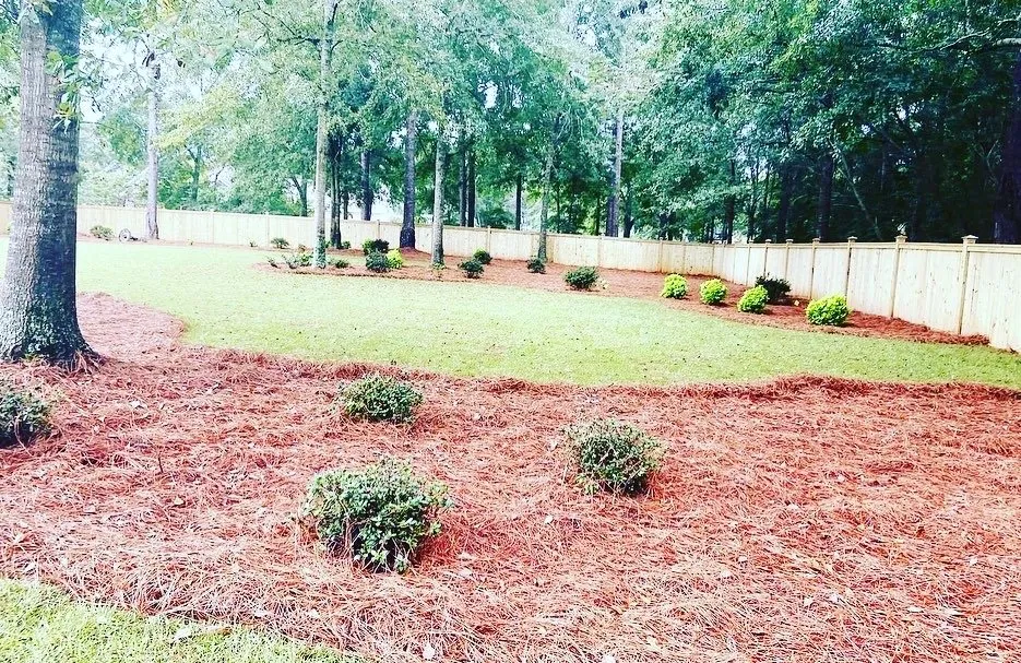 Reliable yard cleanup service in Headland, AL - Carden & Company Landscaping and Garden Services
