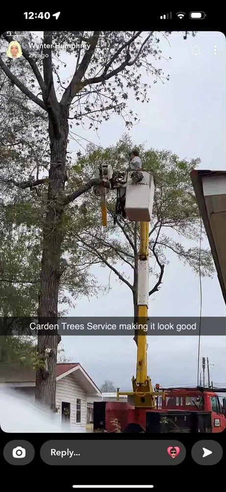 Reliable lawn care service for homes in Attalla, AL by Carden Tree Service