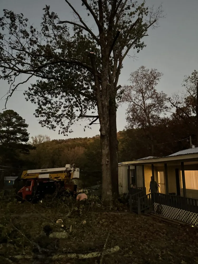 Local landscaping services experts serving Attalla, AL - Carden Tree Service