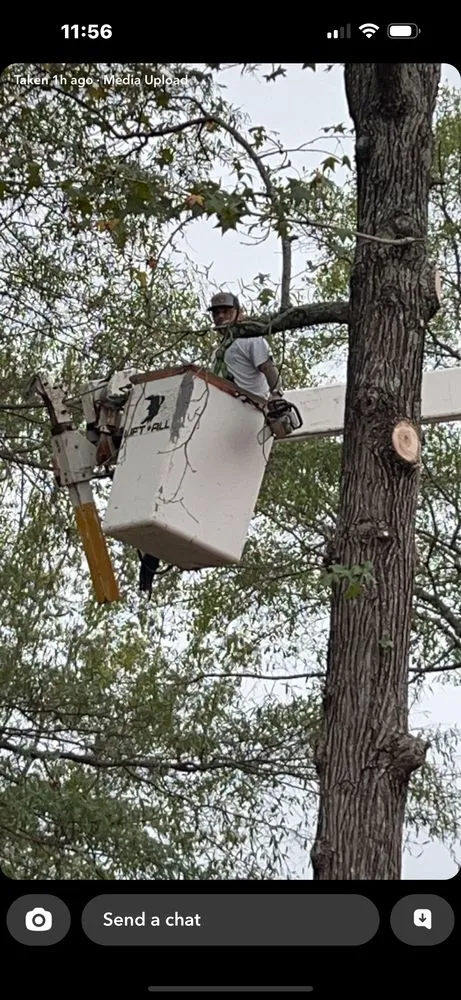 Reliable landscape design in Attalla, AL - Carden Tree Service